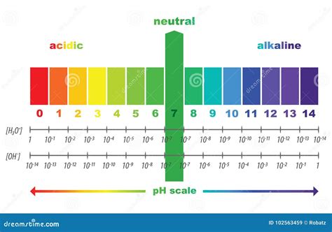 Scale of Ph Value for Acid and Alkaline Solutions Stock Vector ...