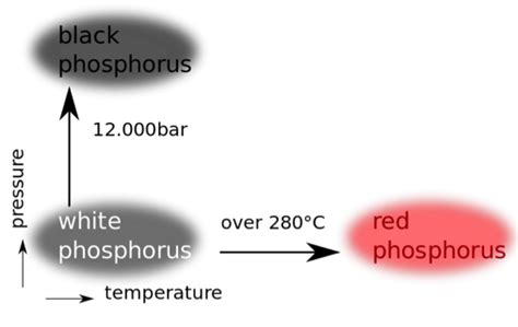 Allotropes of Phosphorus: Forms, Uses & Examples | Study.com