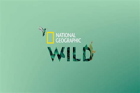 Nat Geo Wild | Watch Online and Stream Live | Hulu