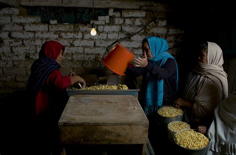 Nixtamalization: An Ingenious Solution for Healthier Maize-Based Diets ...