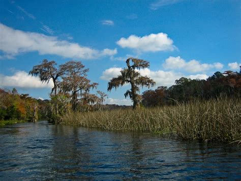 Wakulla Springs State Park | Florida Hikes!