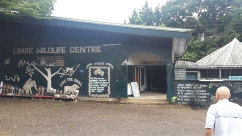 Limbe Wildlife Centre (Cameroon): Top Tips Before You Go - TripAdvisor