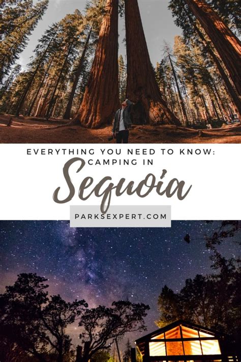 Sequoia National Park Camping: The Best Guide to All 7 Campgrounds