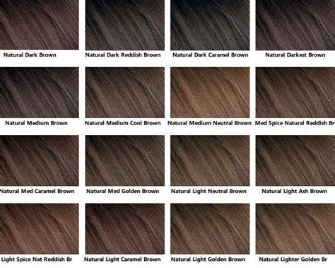 Cool Brown Hair Color Chart - Infoupdate.org | Hair color chart, Brown hair color chart, Ash ...