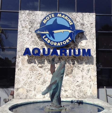 Mote Marine Aquarium - Sarasota Florida