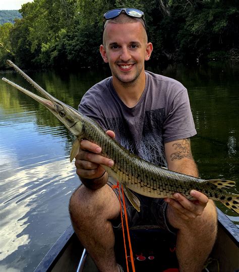 A rare catch: Local angler hauls second longnose gar from Shenandoah ...