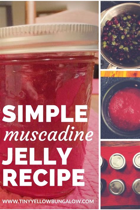 simple muscadine jelly recipe - tiny yellow bungalow