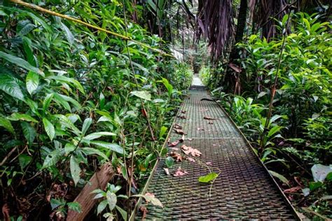 Wildlife Safari Through Tortuguero National Park • Expert Vagabond