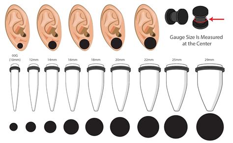 Ear Stretching Kit Sizes at malcolmdwileso blog