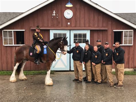 NEW CASTLE COUNTY POLICE MOUNTED UNIT RECEIVE MULTIPLE AWARDS – New ...