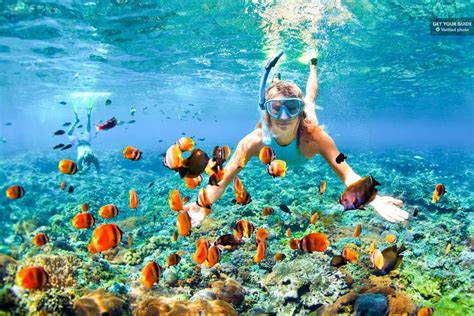 15 Best Maui Tours - The Crazy Tourist