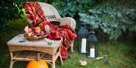 9 Autumn Garden Decorating Ideas using Plants, Colour And Lights