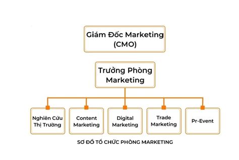 Sơ đồ tổ chức phòng Marketing hoạt động như nào?