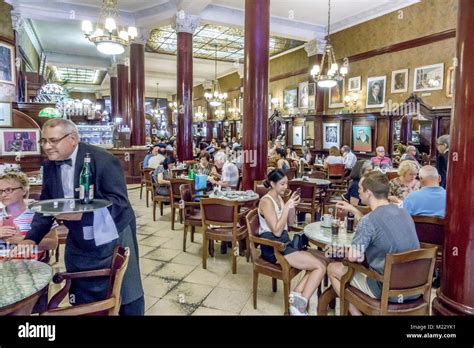 Inside interior waiter server serving employee worker tables hispanic man hi-res stock ...