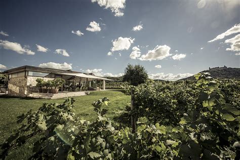 Malat: CENTURY OLD VITICULTURE AND OUTSTANDING HOSPITALITY COMBINED IN ONE VINEYARD