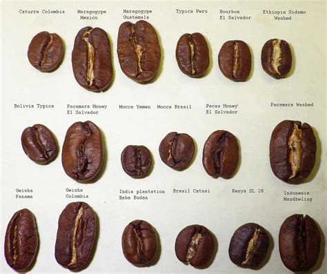 #World #Coffee #Beans #Café Types Of Coffee Beans, Different Types Of ...