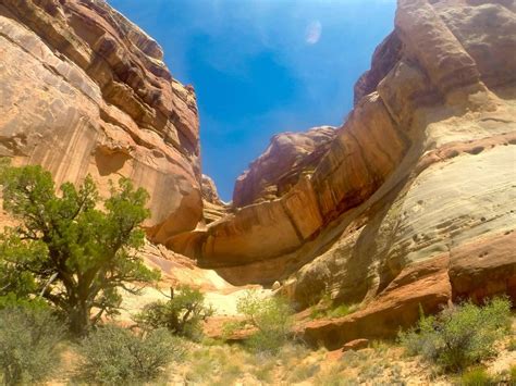 The Maze District, Canyonlands NP, Utah : gopro