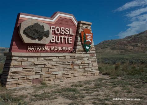 Fossil Butte National Monument! - The Bill Beaver Project