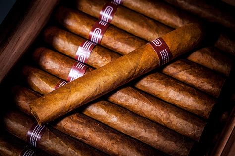 Top Cigars 2024 - Alice Brandice