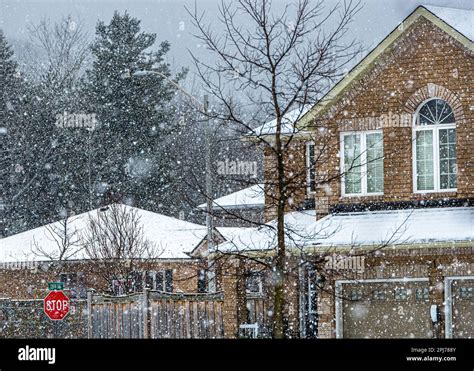 Winter, it's snowing. A wonderful atmosphere in the Canadian ...