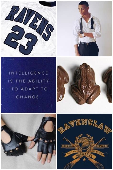 Ravenclaw Boys Roger Davies | Ravenclaw, Ravenclaw aesthetic, Hogwarts