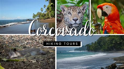 Corcovado National Park Tours - Hiking Guided Tours