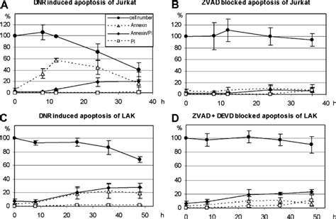 Caspase inhibitors prevent apoptosis. Influence of incubation with 1 µM ...