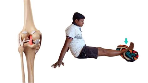 7 Best Knee Ligament Injury Treatment Exercises : Physiosunit