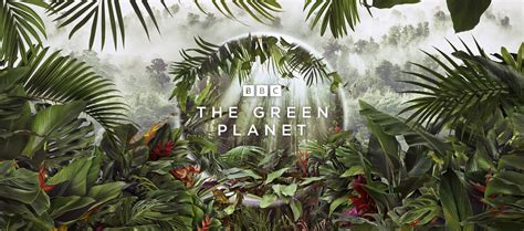 Explore our world’s fascinating flora in the BBC/OU series, The Green ...