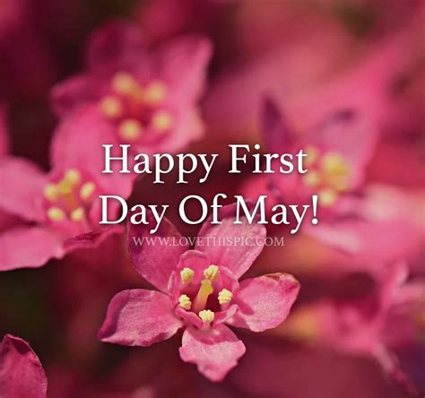 Happy First Day Of May! Pictures, Photos, and Images for Facebook ...