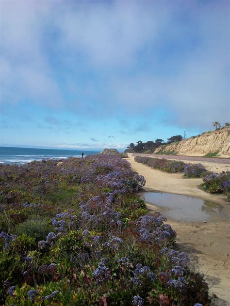 Del Mar Ca | Places to travel, California beach, Beach time