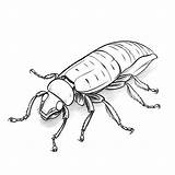Premium Photo  Madagascar Hissing Cockroach Doodle Hand Drawn Cute sketch template