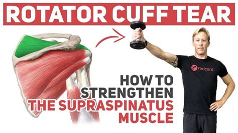 Rotator Cuff Tear (How to Strengthen Supraspinatus) | Rotator cuff tear, Rotator cuff, Shoulder ...