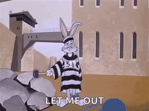 Prison Jail GIF - Prison Jail Bugs Bunny Prison - GIF 탐색 및 공유