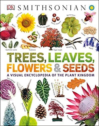 Trees, Leaves, Flowers and Seeds: A Visual Encyclopedia of the Plant ...