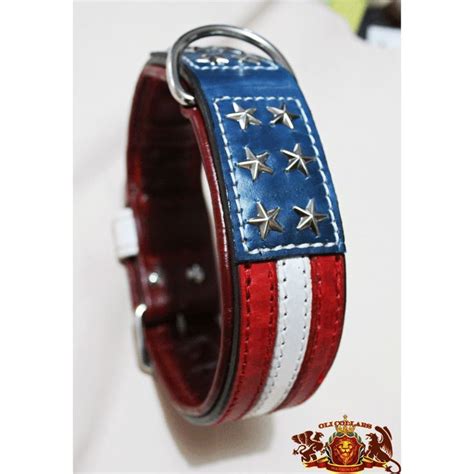 American Flag Leather Dog Collar (Oli Collars) | Leather dog collars, Large dog collars, Flag ...