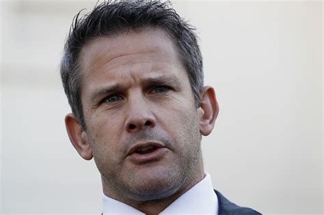 Rep. Adam Kinzinger says he suspects that some members of Congress knew ...