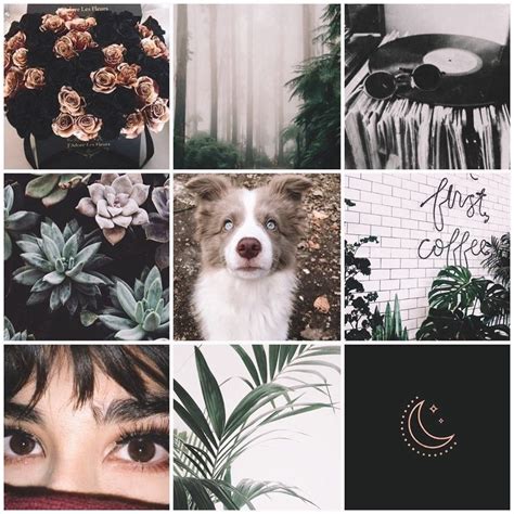 moodboard aesthetic | Mood board design, Adopt idea, Mood board inspiration