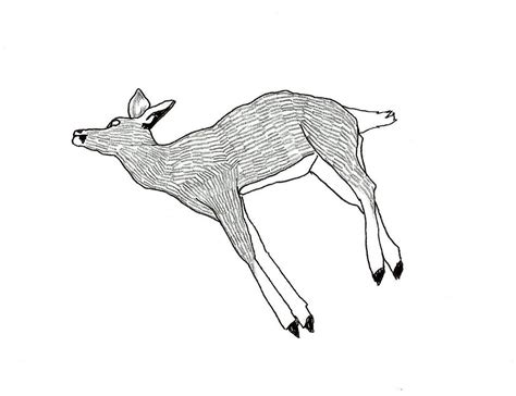 Dead Animal Drawing at GetDrawings | Free download