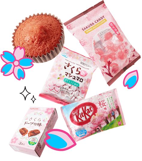 All About Sakura Snacks | TokyoTreat