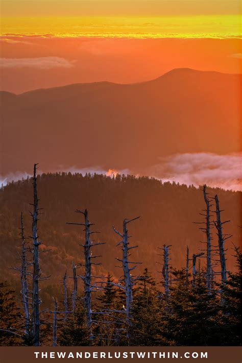 Check out these cozy log cabins in Gatlinburg TN | best airbnb gatlinburg tennessee cabins cheap ...