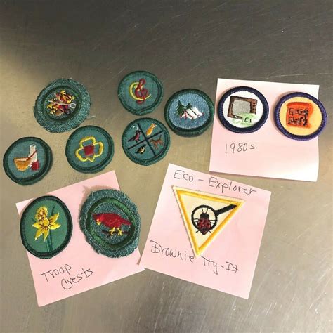 VTG Girl Scout Badges Patches Troop Crests Set 11 1960-1980s Brownie ...