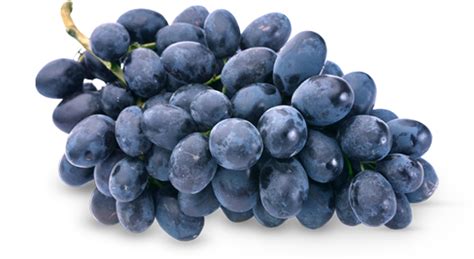 Grapes PNG Images Transparent Background | PNG Play