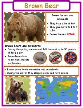 Animal Fact Sheets | Animal facts, Brown bear facts, Fall preschool activities