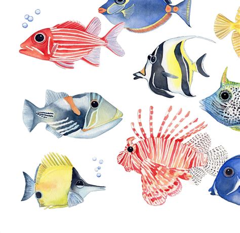 Tropical Fish Art Print / Tropical Fish Watercolor Art / Fish - Etsy