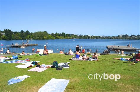 10 BEST Things to Do in Green Lake (Seattle) - CityBOP