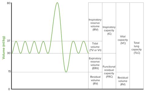 Pulmonary Function Tests | Concise Medical Knowledge