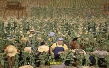 Hee Haw Salute GIFs | Tenor