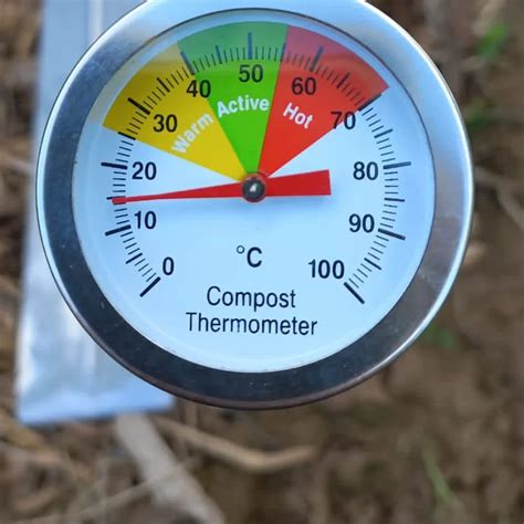 Compost Thermometer - Forest Roots