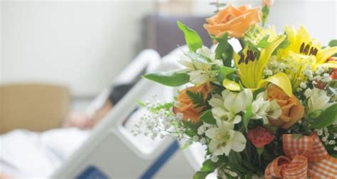 No flowers, please: Why hospitals are banning bouquets